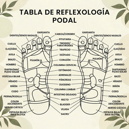 Sandalias de Alivio Plantar